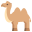 :camel: